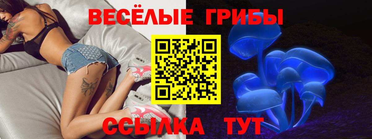 Гудермес  Галлюциногенные грибы MAGIC MUSHROOMS  Вход с VPN  Галлюциногенные грибы Magic Shrooms 