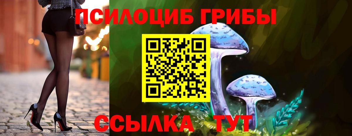 Галлюциногенные грибы Magic Shrooms Гудермес